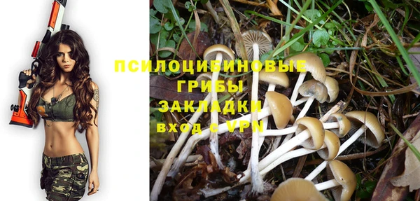 MESCALINE Аркадак