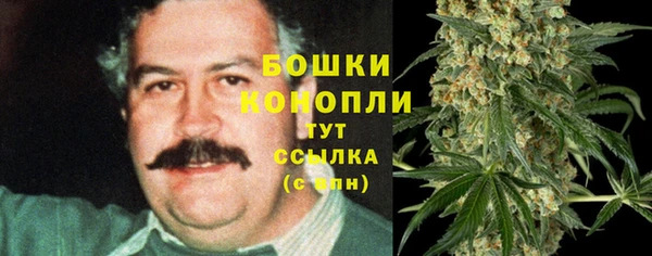 MESCALINE Аркадак