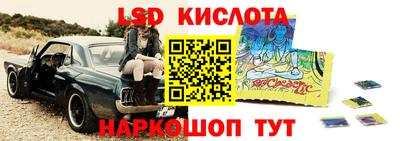 PSILOCYBIN Кунгур