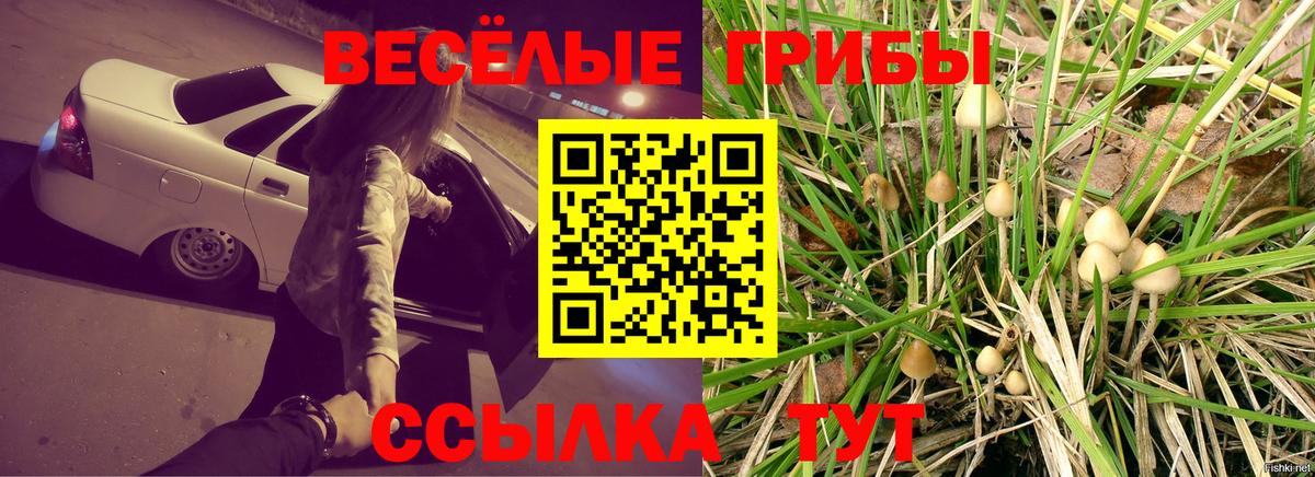 Добрянка  Галлюциногенные грибы ЛСД  Вход с VPN 